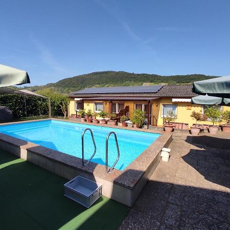 Appartement Moselferienweingut Schaefer à Wintrich Extérieur photo
