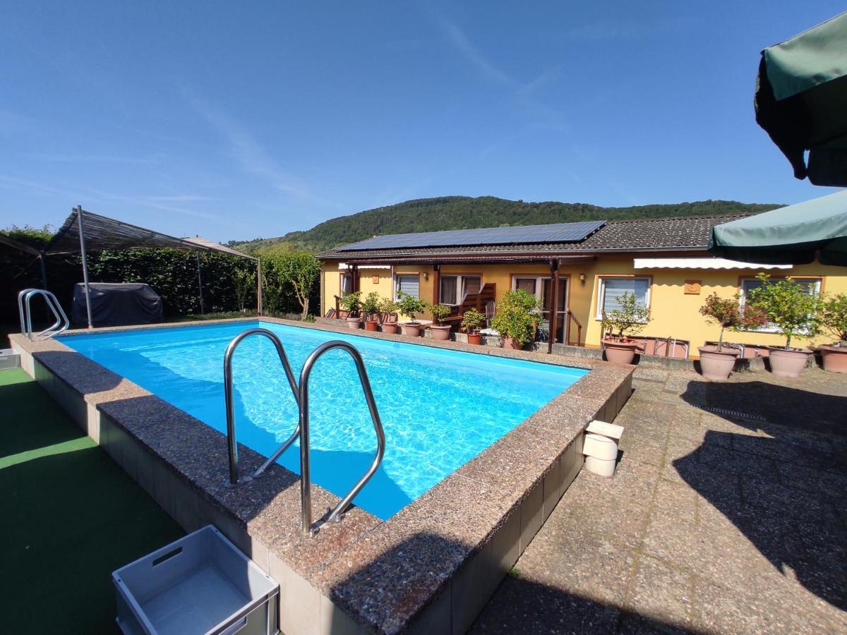 Appartement Moselferienweingut Schaefer à Wintrich Extérieur photo