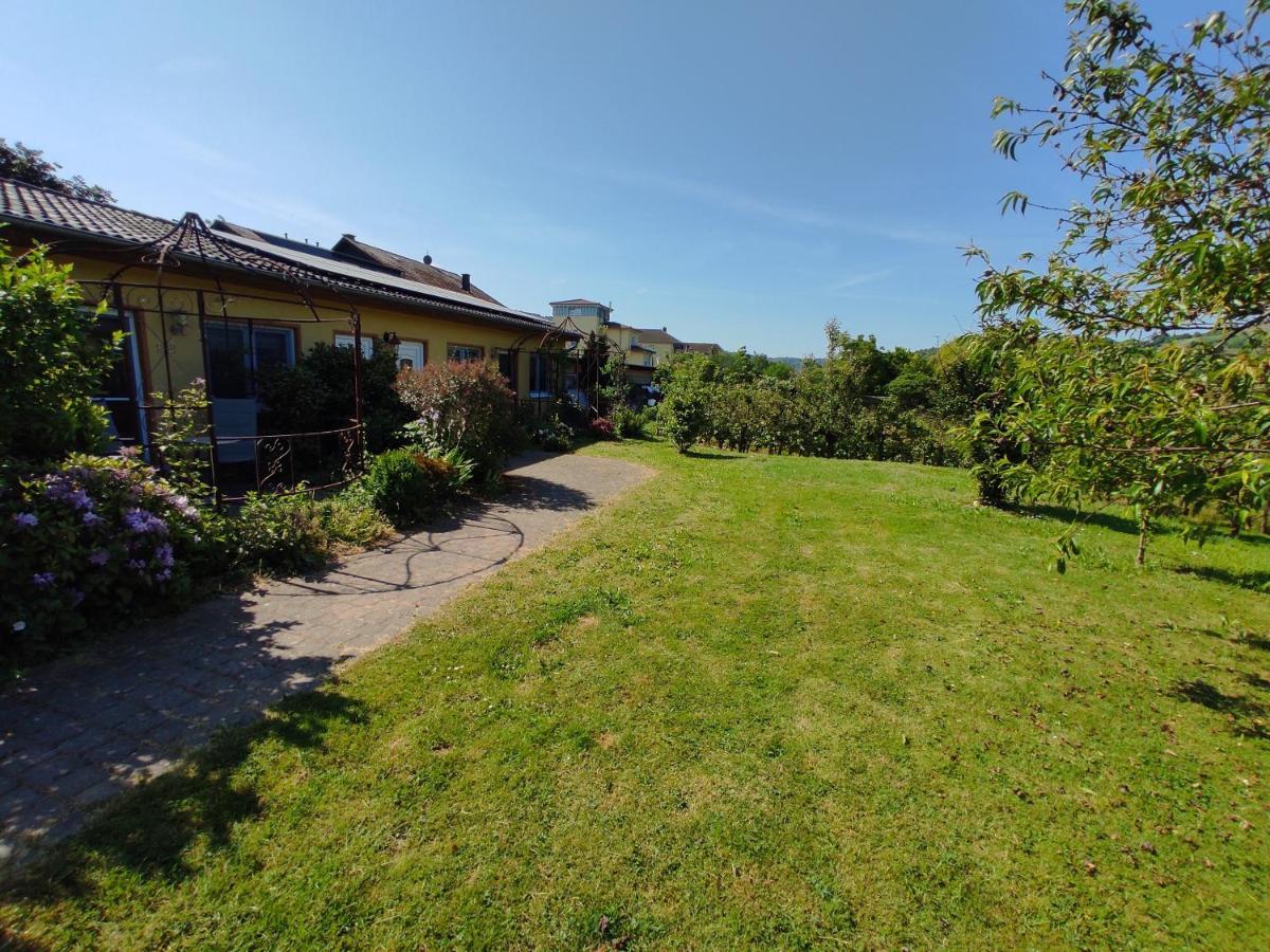 Appartement Moselferienweingut Schaefer à Wintrich Extérieur photo